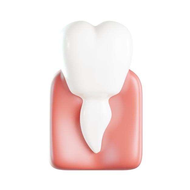 Médico Salud Dental Dientes Premolar