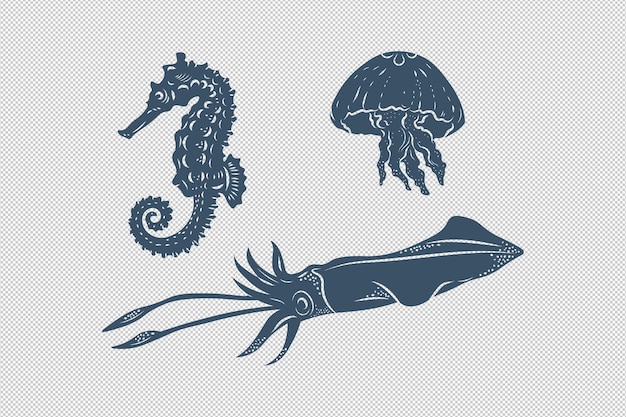 Méduses hippocampes et calmars monochromes objets de créatures marines isolées