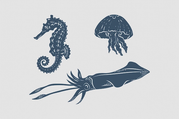 PSD méduses hippocampes et calmars monochromes objets de créatures marines isolées