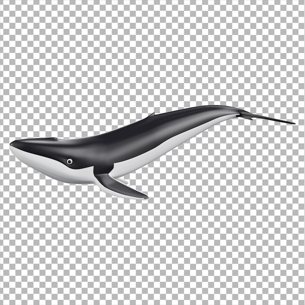 Meerestiere 3D-Illustration
