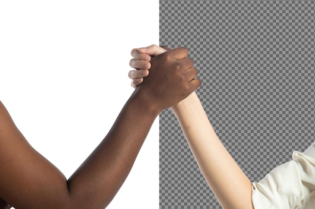 Mehrethnische junge Frauen halten sich an die Hand. Sie zeigen Geschäftsfreundlichkeit, Teamharmonie, positive Ausdrücke, Übereinkunft, Handschlag, Geschäftseinheit, Konzept. Weißer Hintergrund, isoliert.
