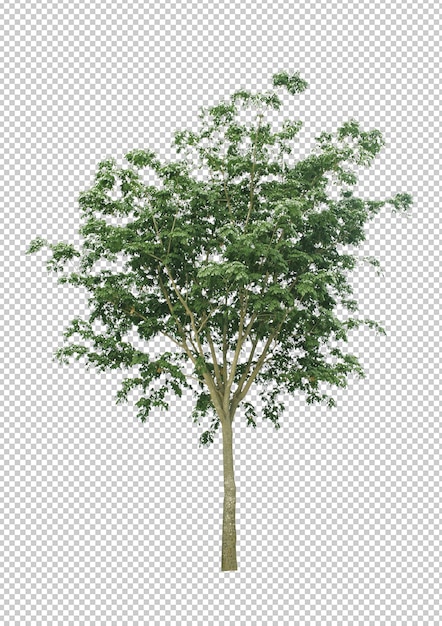 PSD meilleure collection d'arbre dicut