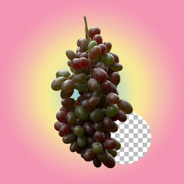 Las mejores uvas para su concepto de elemento.