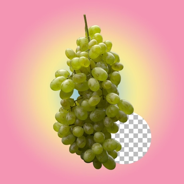 Las mejores uvas para su concepto de elemento.