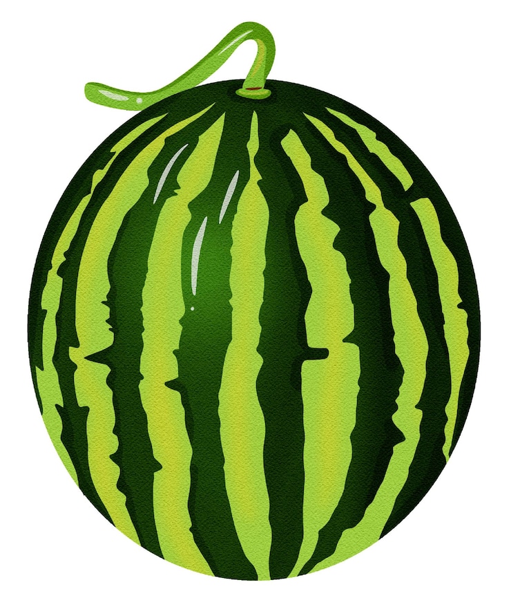 PSD melancia aquarela desenho à mão