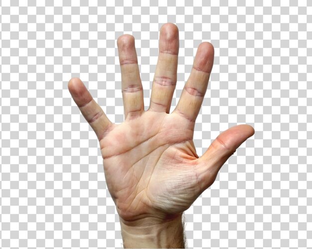 PSD menschliche hand mit fünf fingern auf einem transparenten hintergrund