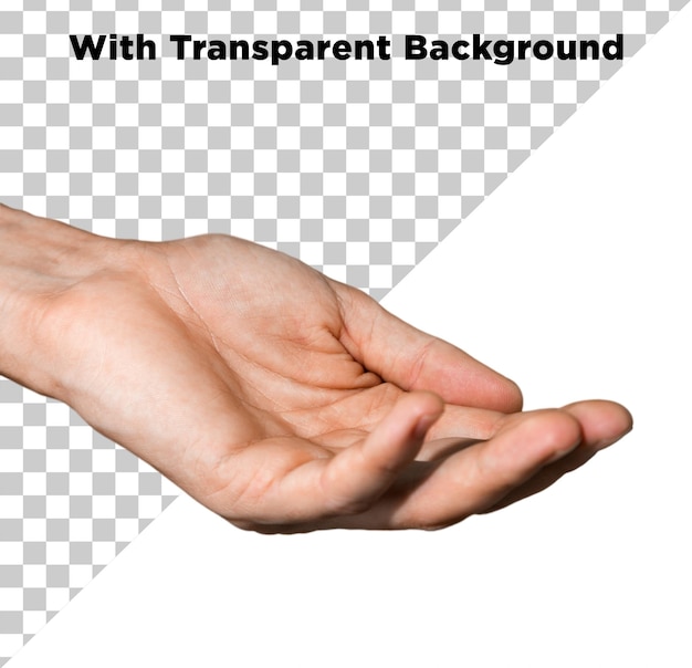 Menschliche Handhaltung Aktion Geste Foto PSD PNG