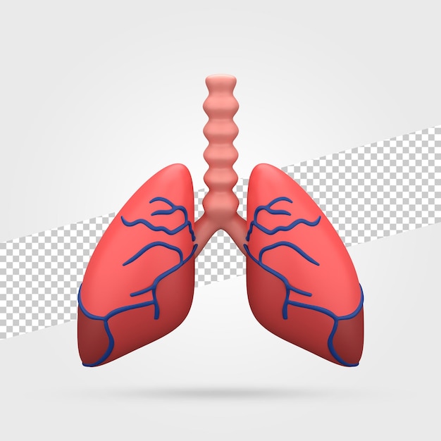 PSD menschliche lunge 3d render