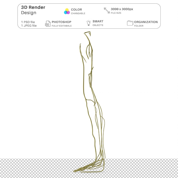 PSD menschliches nervensystem der beine 3d-modellierung psd-datei realistische menschliche anatomie