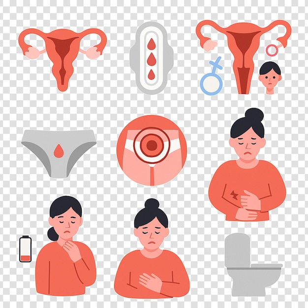 Menstruation and Period Symptoms Infographic