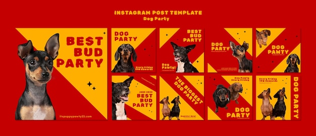 PSD messages instagram de fête de chien au design plat