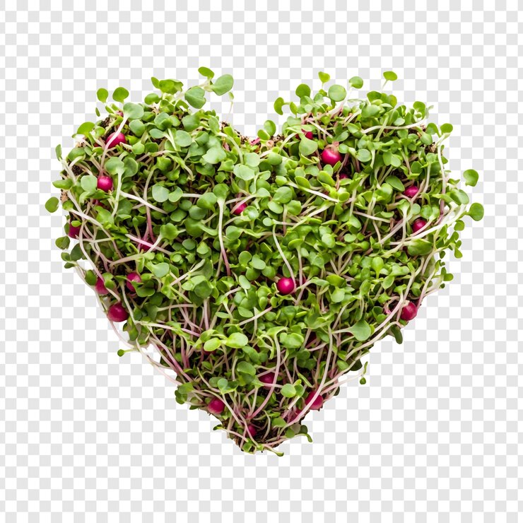 PSD microgreens en forma de corazón