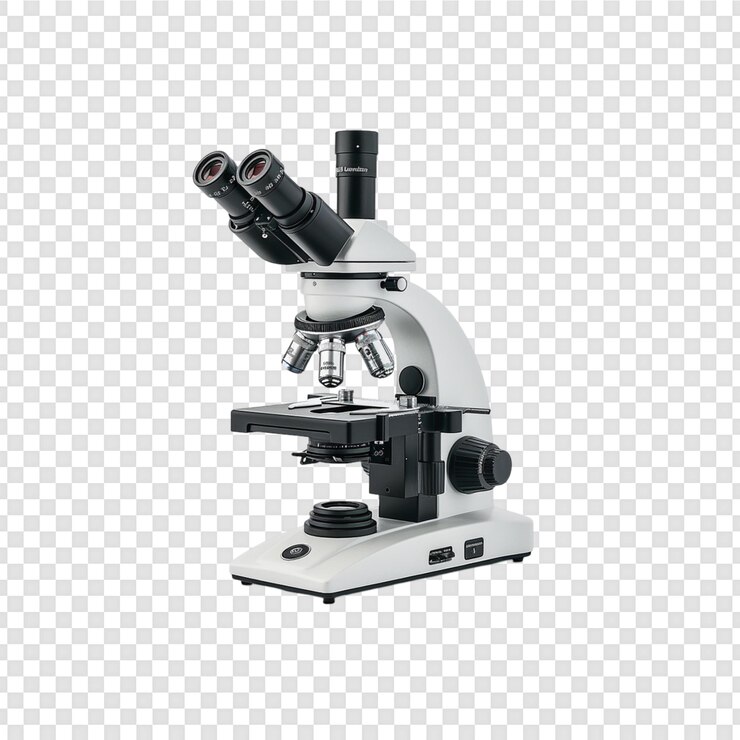 PSD microscope isolé sur un fond transparent