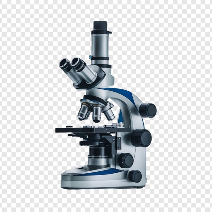 PSD microscope isolé sur un fond transparent