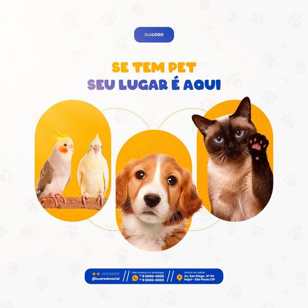 PSD mídias sociais petshop banho veterinário de comida para cães e gatos