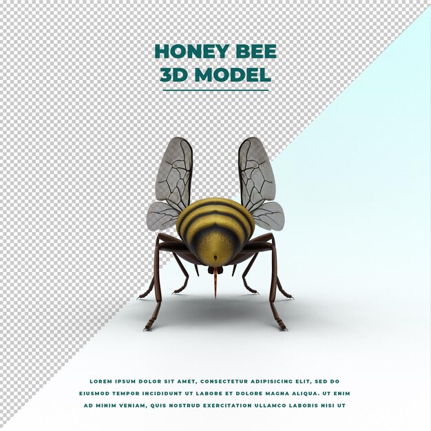 miel de abeja