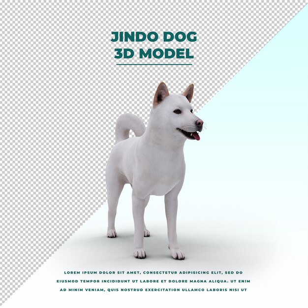 Mignon Chien Jindo