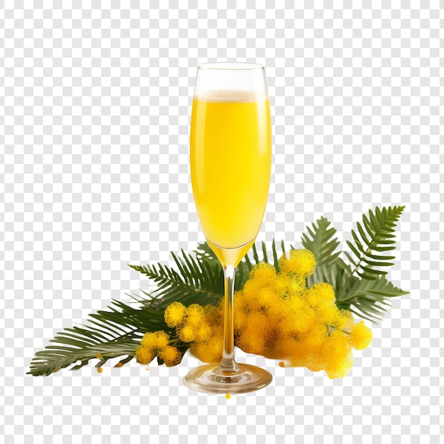 Mimosa-Blüte png isoliert auf transparentem Hintergrund