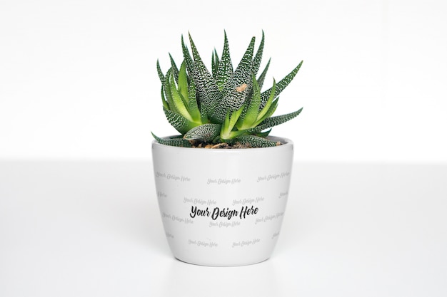 Mini-maquette de plante en pot