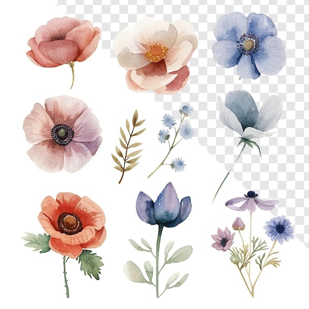 Minimalistisches Aquarellblumen-Set Isolierendes Design
