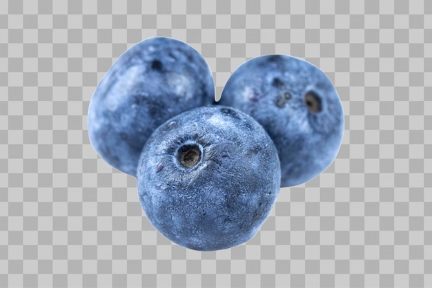 mirtilo