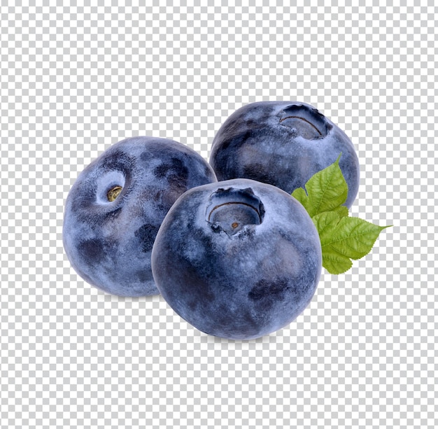 Mirtilos frescos com folhas isoladas Premium PSD