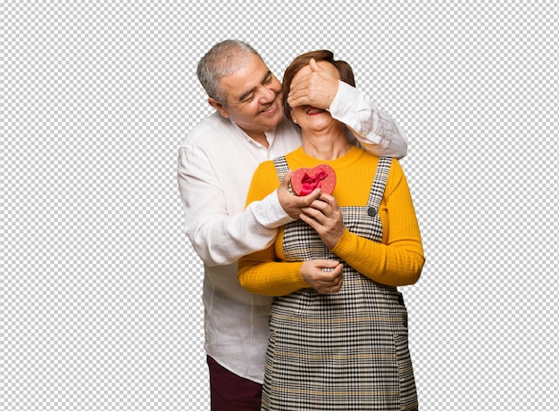 Mitte gealterte Paare, die Valentinsgrußtag feiern