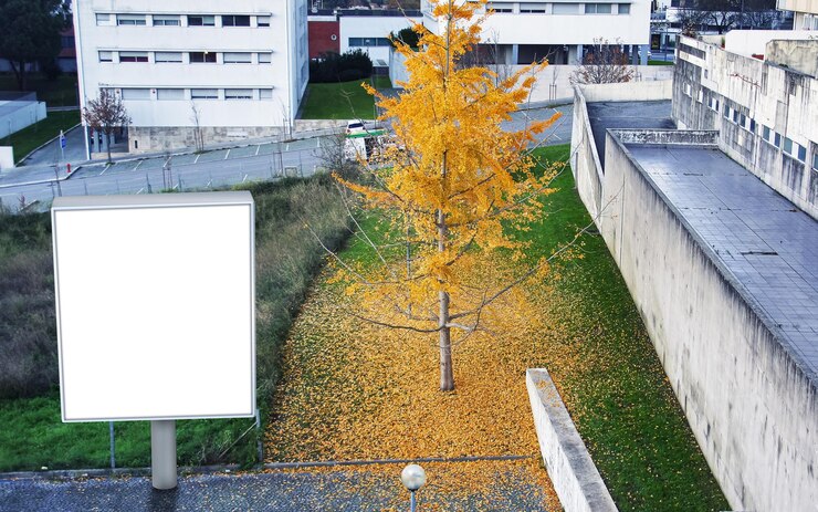 PSD mockup d'autunno