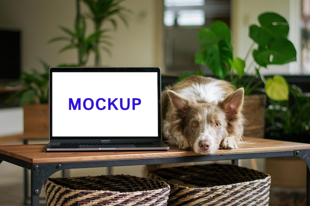 Mockup del portatile PSD