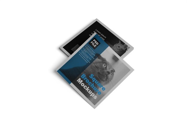 Mockup di opuscoli quadrati