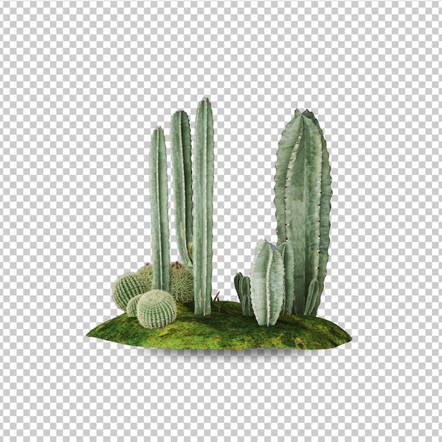 mockup di piante e alberi tropicali