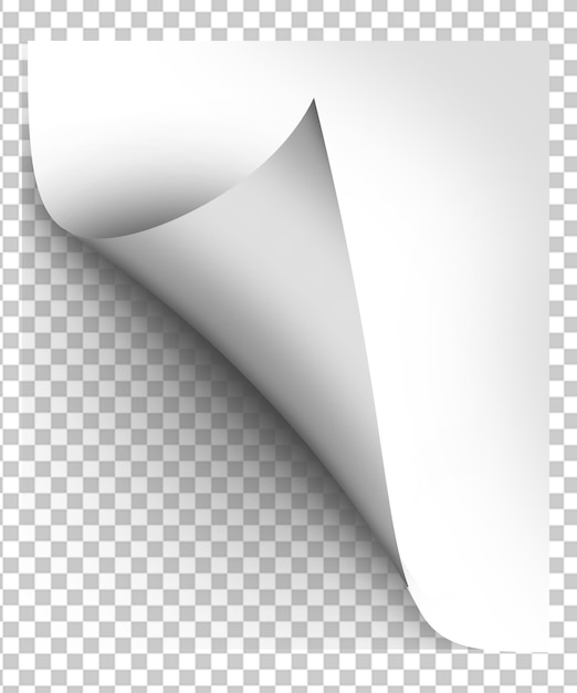 Mockup di riccioli di carta