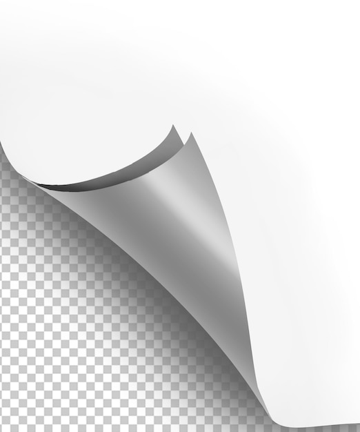 Mockup di riccioli di carta