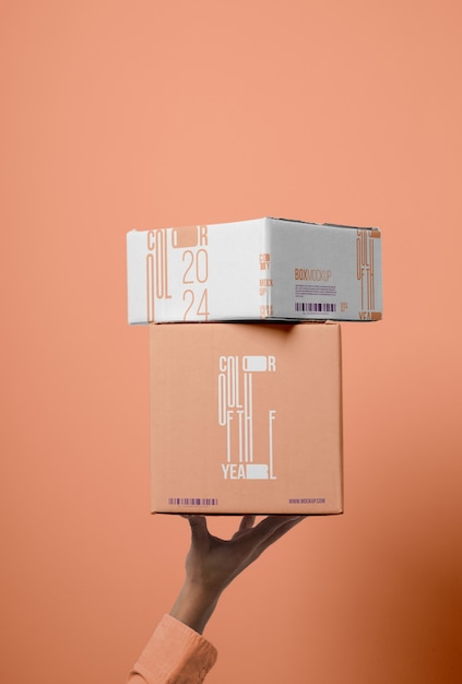 Mockup di scatole di persona in possesso