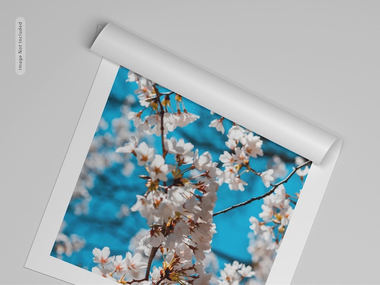 PSD mockup di tela arrotolata