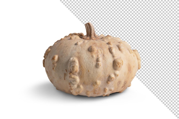 Mockup di zucca isolato dallo sfondo