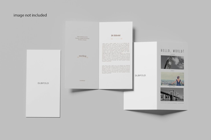 PSD mockup dl bifold