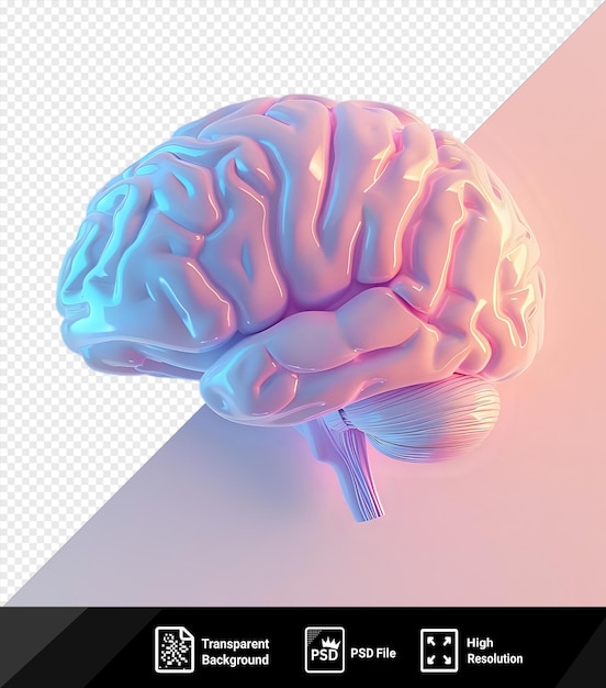 PSD mockup psd d'un cerveau humain sur un fond rose png psd