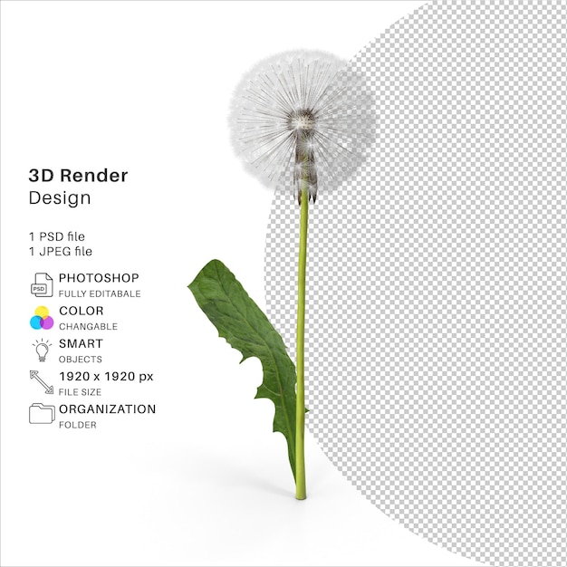 PSD modelación 3d de la flor de diente de león archivo psd flor realista