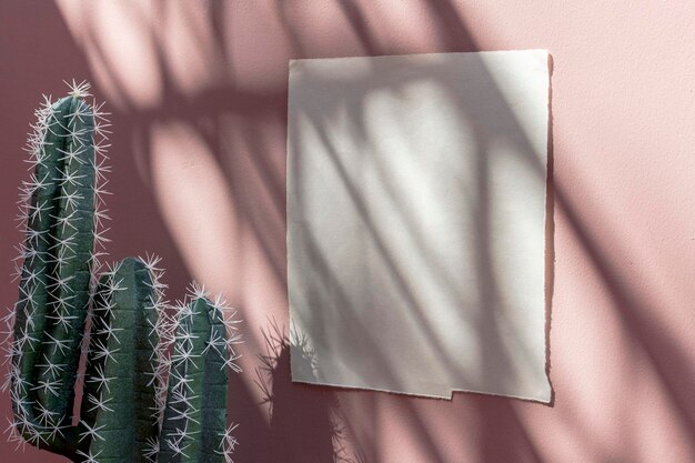 Modèle D'affiche Blanche Sur Un Mur Rose Pastel Par Des Cactus