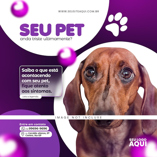 PSD modèle de conception de bannière instagram pour la promotion des médias sociaux dans les magasins d'animaux de compagnie