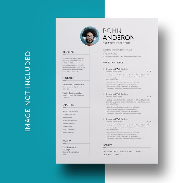 Modèle de curriculum vitae professionnel