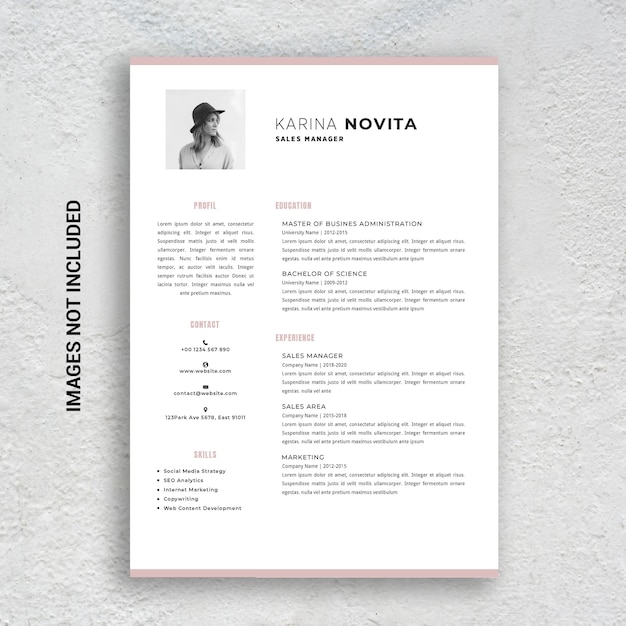 Modèle de CV professionnel minimaliste