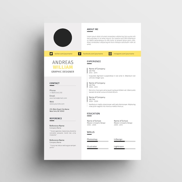 modèle de CV professionnel