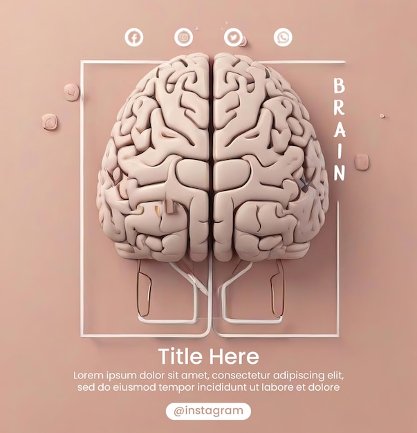 PSD modèle de dépliant avec un dessin de cerveau