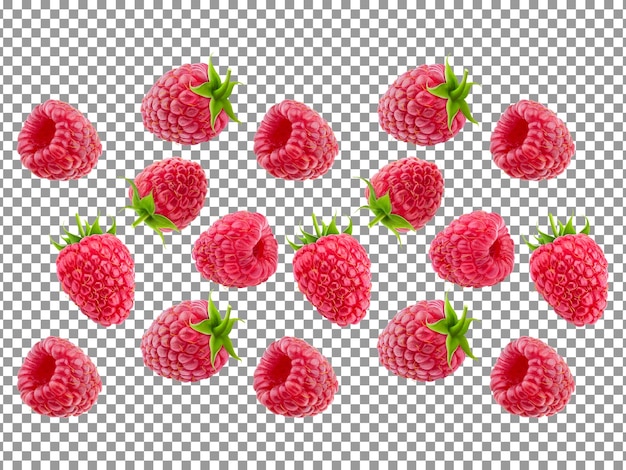 Modèle de framboise sans couture avec fond transparent