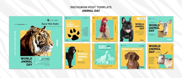 Modèle Instagram De La Journée Mondiale Des Animaux Design Plat