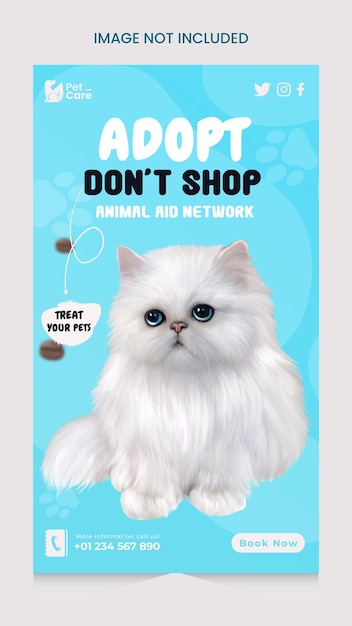 Modèle Instagram de publication sur les réseaux sociaux et d'animaux de compagnie pour aliments pour chats