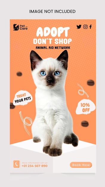 Modèle Instagram de publication sur les réseaux sociaux et d'animaux de compagnie pour aliments pour chats