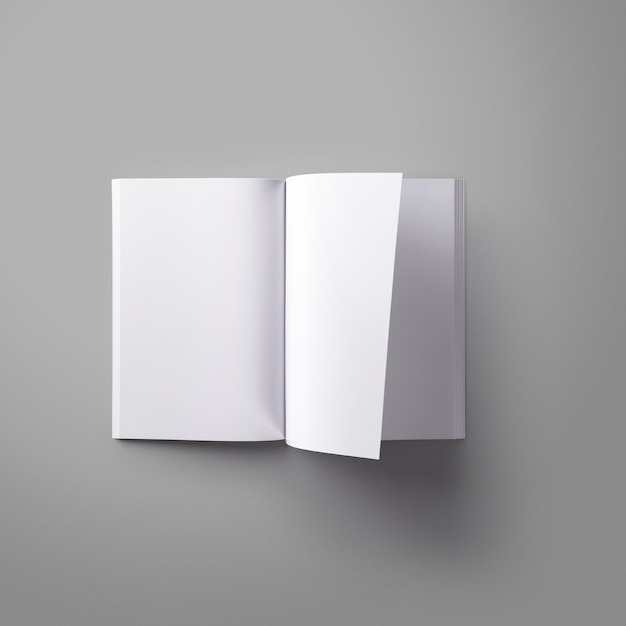 modèle de magazine